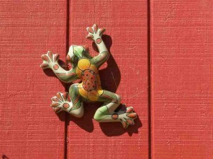 ceramic frog on red wall in Mexico